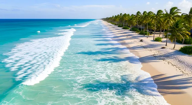 muat turun syurga pantai tropika: lautan turquoise, pasir putih & palma