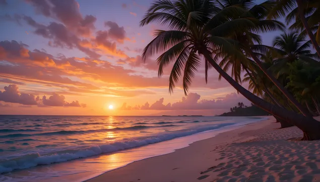 lui na greine ar thra thropaiceach: speir gheobhaidh & crainn pailme ioslodail