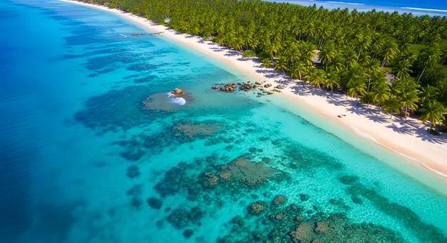 muat turun pantai syurga tropika: pemandangan udara lautan turquoise