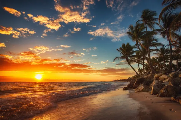 Tropische zonsondergang en palmbomen op het zeestrand download