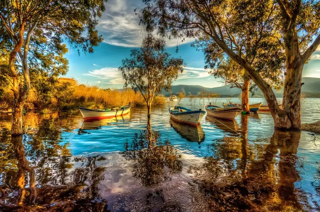 Pemandangan Türkiye dengan perahu dan pepohonan di laut