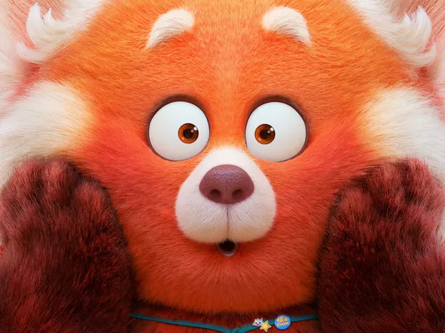 Turning Red computadora animación comedia aventura película protagonista panda rojo con expresión perpleja