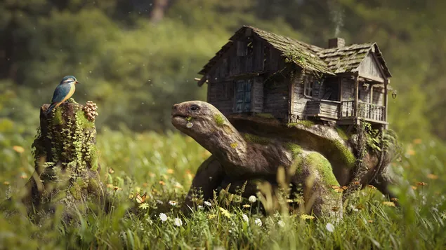 Kura-kura dan burung kecil yang lucu membawa rumah kayu tua berlumut di punggungnya