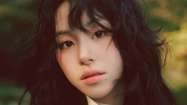 zweel d'chaeyoung | 'i got you' album shoot eroflueden