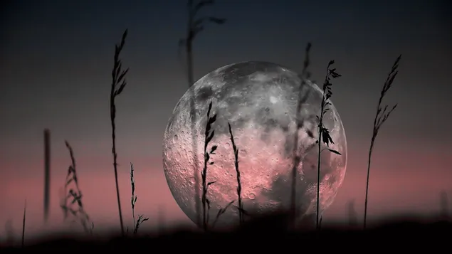Twilight Full Moon dari kejauhan