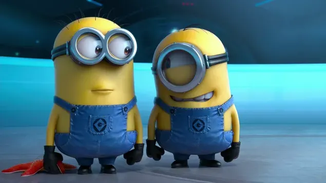 twin friends minion stahnout