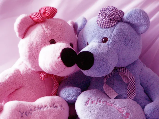 Dua beruang lucu berwarna ungu dan pink unduhan