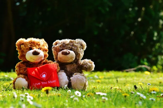 Two cute bears sitting on the grass and flowers with gift wrap in preparation for mother's day