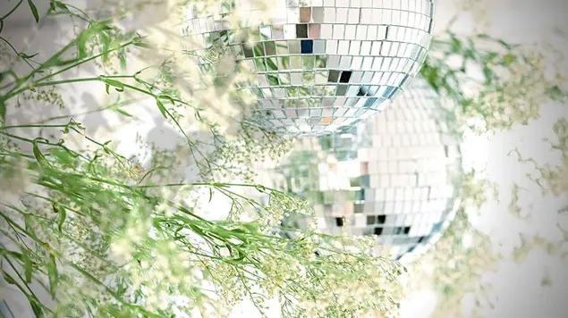 dw twp dyskhw b gl dr dkhwrsywn brgyry khnyd