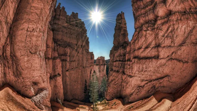 Tapeta Dva stromy medzi veľkými skalami pod nádhernými lúčmi slnka na modrej oblohe 4K