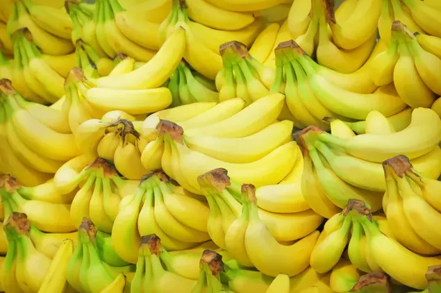 Un racimo de plátano por naturaleza.