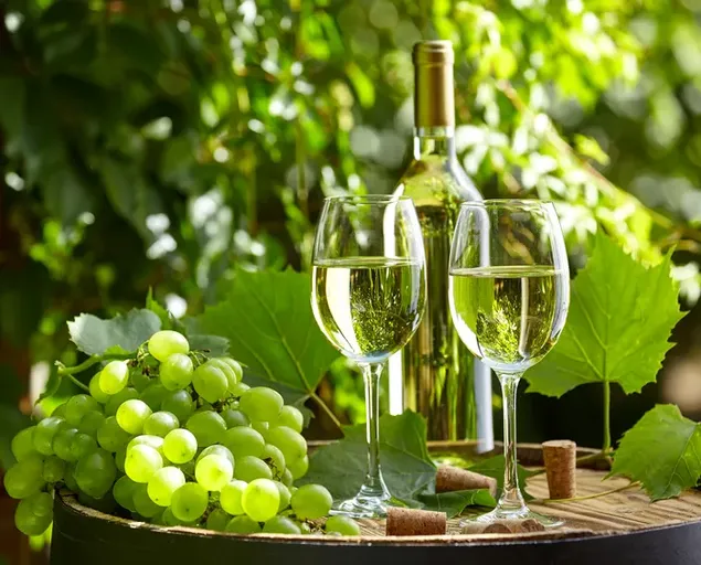 Una botella y dos copas de vino blanco con uvas en el fondo lateral de la naturaleza