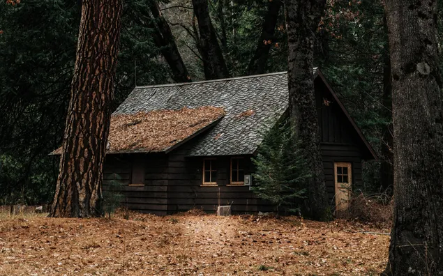 Una casa natural en el bosque