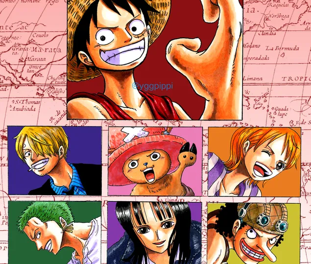 Una pieza - Luffy, Sanji, Chopper, Nami, Zoro, Robin y Usopp
