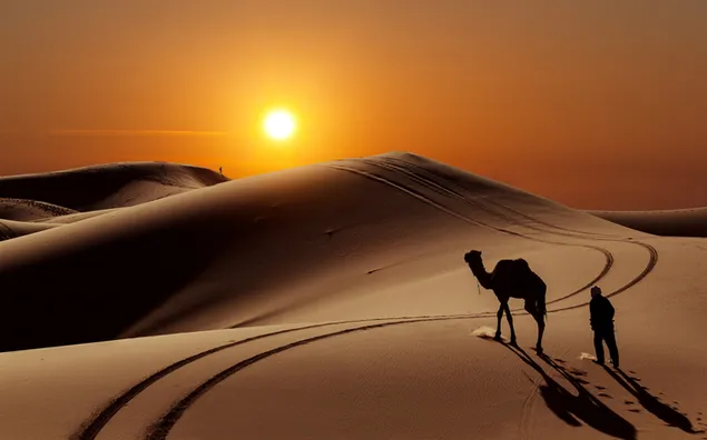 Unta dan manusia berjalan menuju sinar matahari di balik pasir gurun unduhan