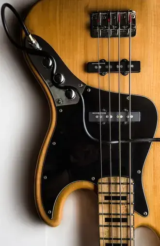 perevernutaya bas-gitara skachat'