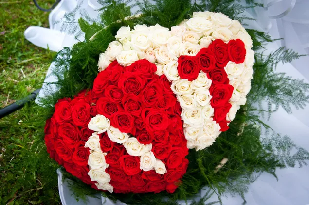 Valentijnsdag - hartvormige rode en witte rozen