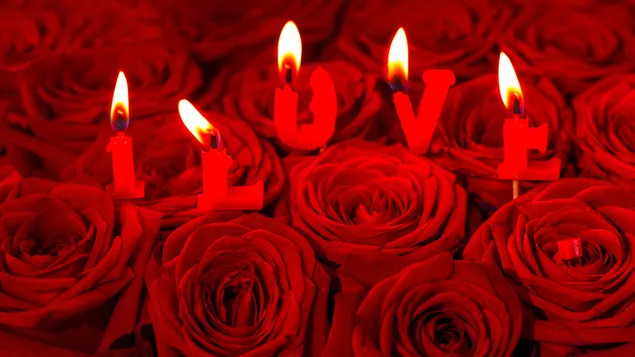 Valentijnsdag - mooie kaarsen aangestoken