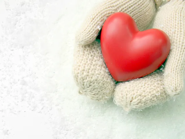 Valentijnsdag - schattig hart in de hand