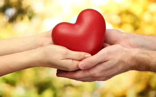 Valentijnsdag - schattig hart in de handen