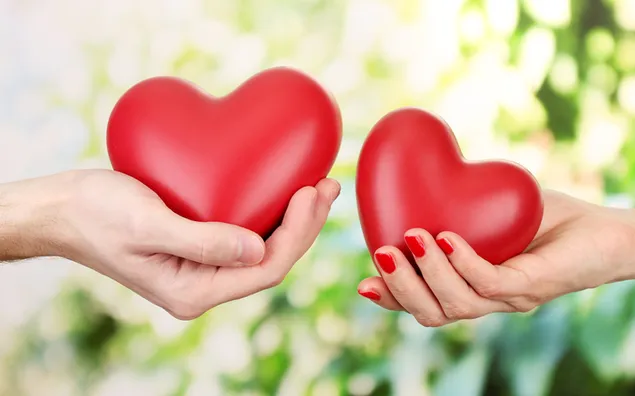 Valentijnsdag - schattige hartjes in de handen