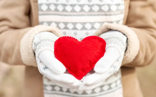 Valentijnsdag - stof rood hart in de handen