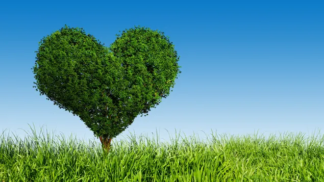 Valentine's day - artistic green heart tree landscape 6K wallpaper
