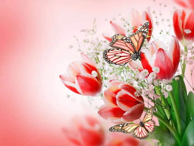 Valentinstag - Schmetterlinge auf den roten Tulpen herunterladen