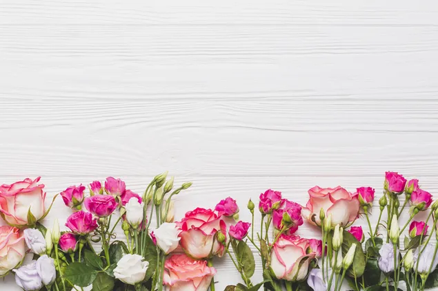 Alla hjärtans dag - färgglada rosor dekoration 2K bakgrund