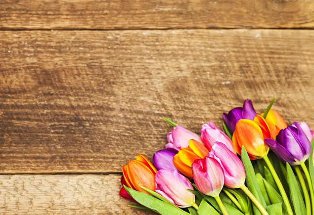 Hari Valentine - bunga tulip berwarna-warni 2K kertas dinding