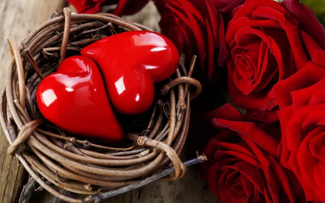 Valentinstag - süßes rotes Herzpaar im Nest