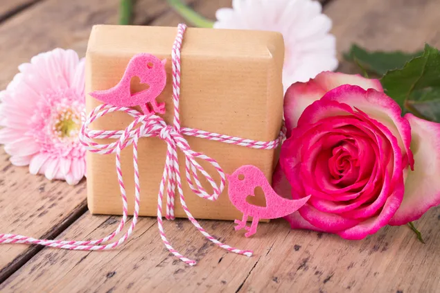 Valentinstag - Geschenk und die rosa Rose hautnah 2K Hintergrundbild