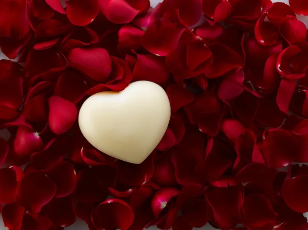 Día de San Valentín - corazón y pétalos de rosas rojas