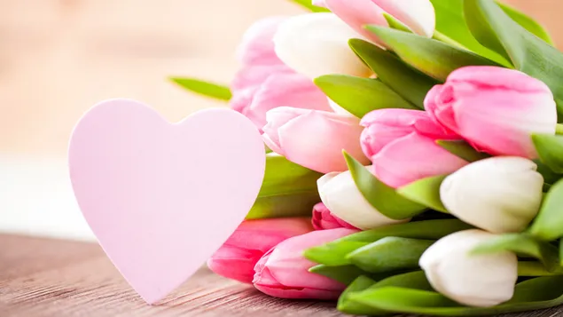 Ngày lễ tình nhân - trái tim và hoa tulip