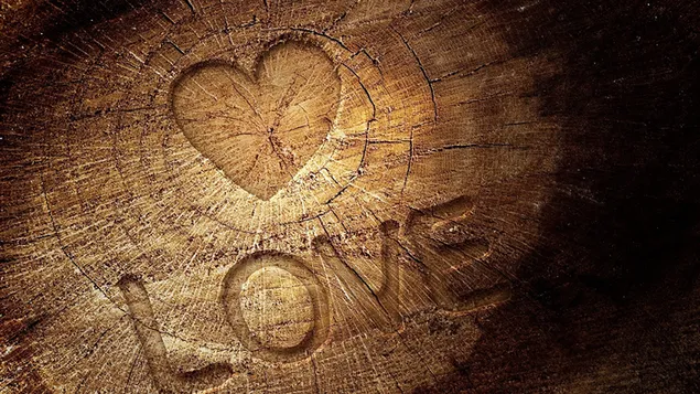 Valentinsdag - kærlighedshjerte indgraveret på træ download