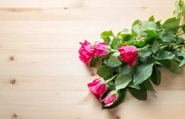 Valentinstag - schöner Blumenstrauß aus rosa Rosen