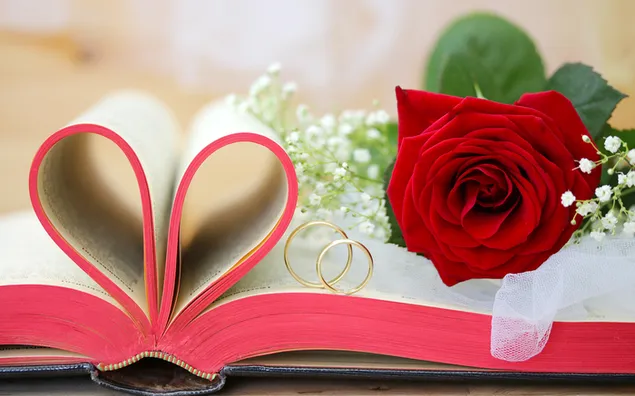 Hình nền Ngày lễ tình nhân - hoa hồng đỏ đáng yêu trên sách 2K