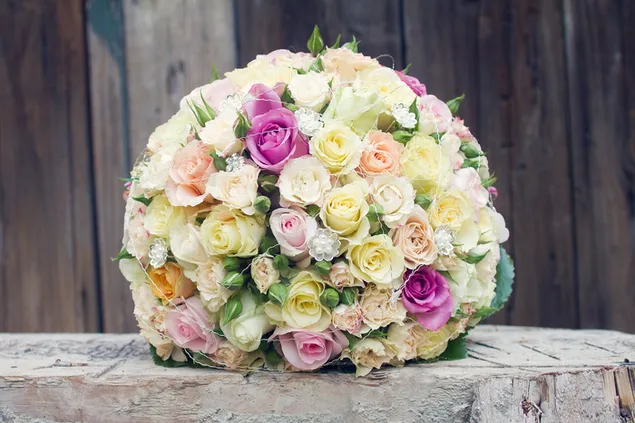 Alla hjärtans dag - flerfärgad rosor bukett HD bakgrund