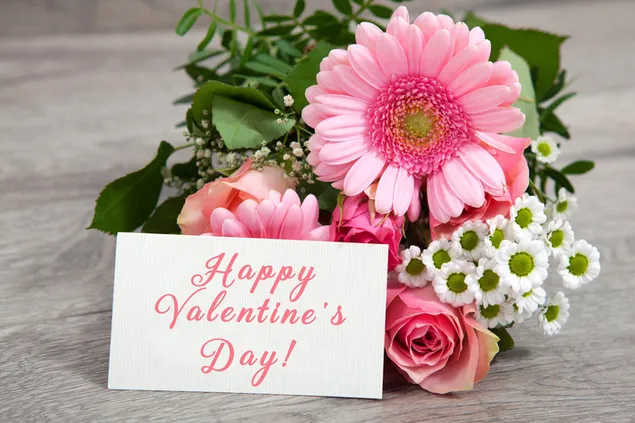 Valentinstag - rosafarbene Gerbera-Blumen mit Grußkarte 2K Hintergrundbild