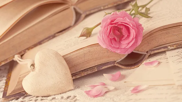 Valentinstag - rosa Rosenblätter und die Bücher