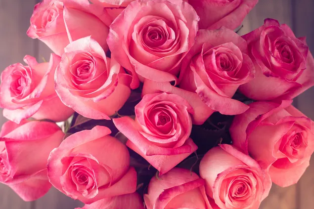 Hari Valentine - sejambak mawar merah jambu 2K kertas dinding