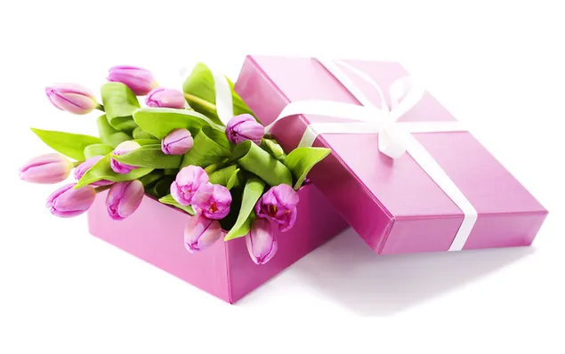 Valentino diena – rožinių tulpių puokštės dovana atsisiųsti