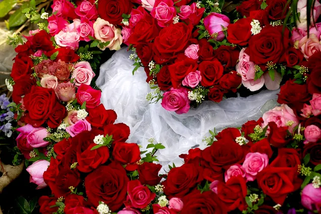 Valentinstag - Herz aus roten und rosa Rosen