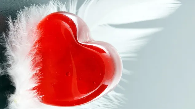 Día de San Valentín - corazón rojo y la pluma.