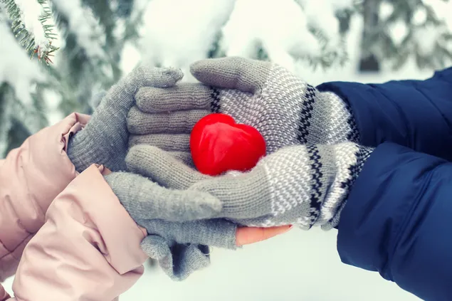Valentinstag - rotes Herz in den Händen
