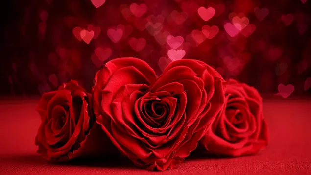 バレンタインデー-赤いハートのバラのクローズアップ ダウンロード