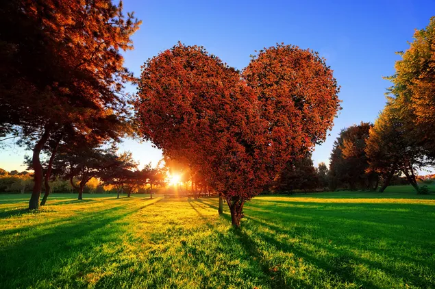 Valentine's day - red heart tree in green field 2K wallpaper