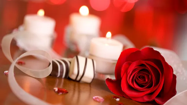 Valentinstag - Rote Rose