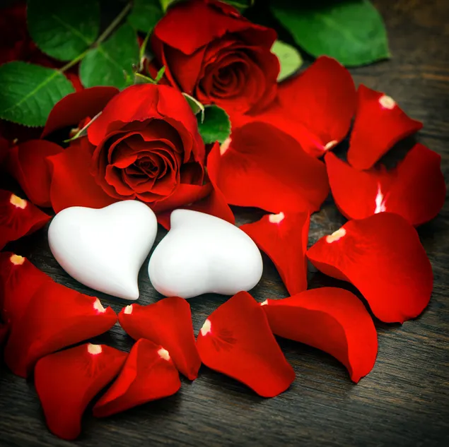 バレンタインデー-赤いバラの花びらとハートのペア