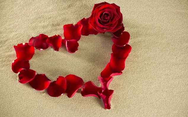 Valentinstag - Herz aus roten Rosenblättern